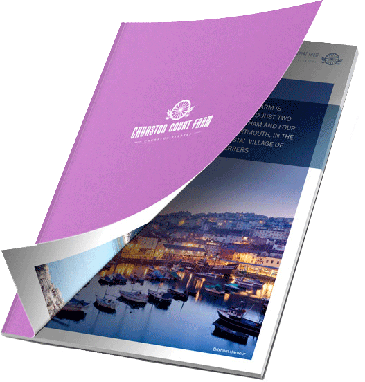 24 Hour Cheapest Document Printing - Premium Print Quality Coil Binded Document - Stitched Report - P